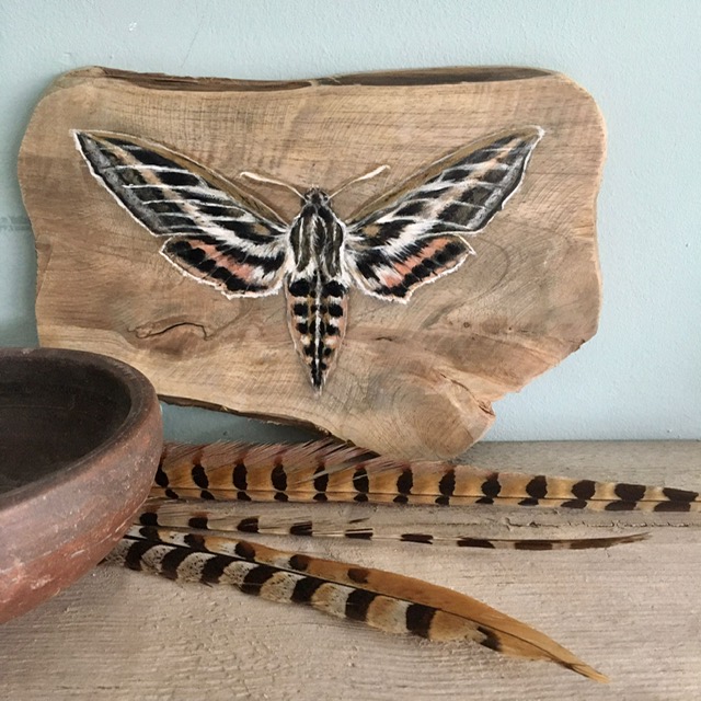 Home fc29f6fe 33f6 4d20 bbca 9c5bfe21cd51