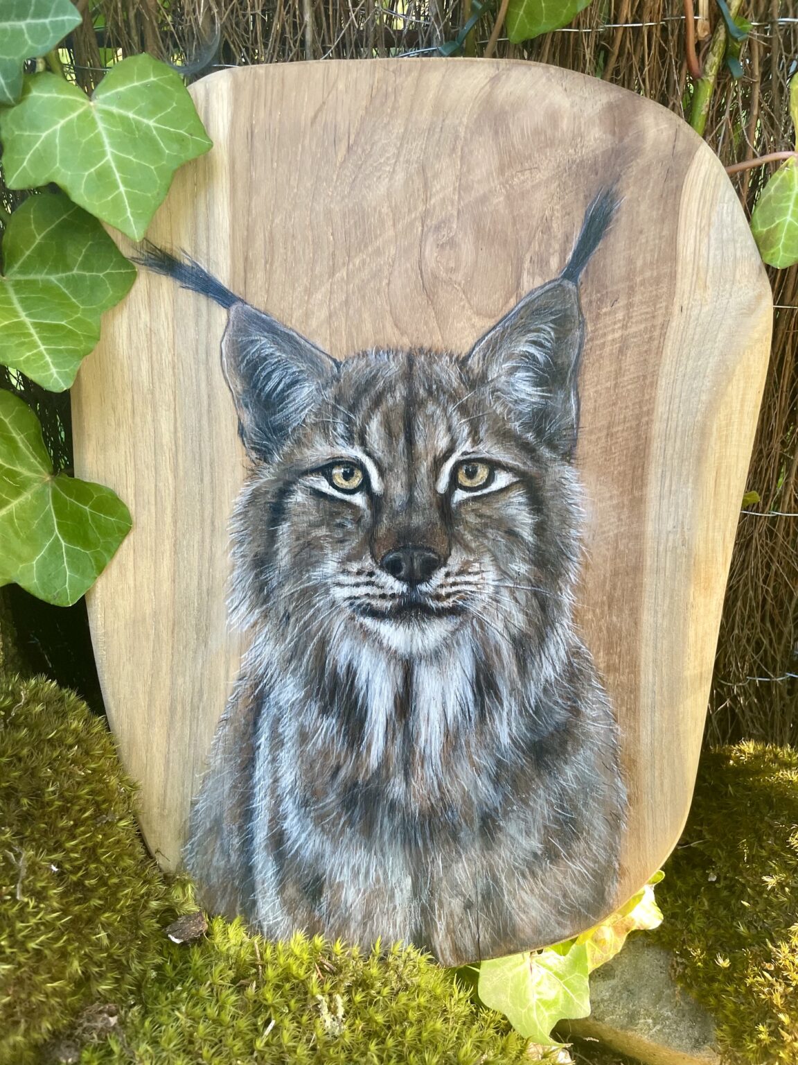 Handmålad lodjur på en bit teak,fotograferad i en naturlig miljö.